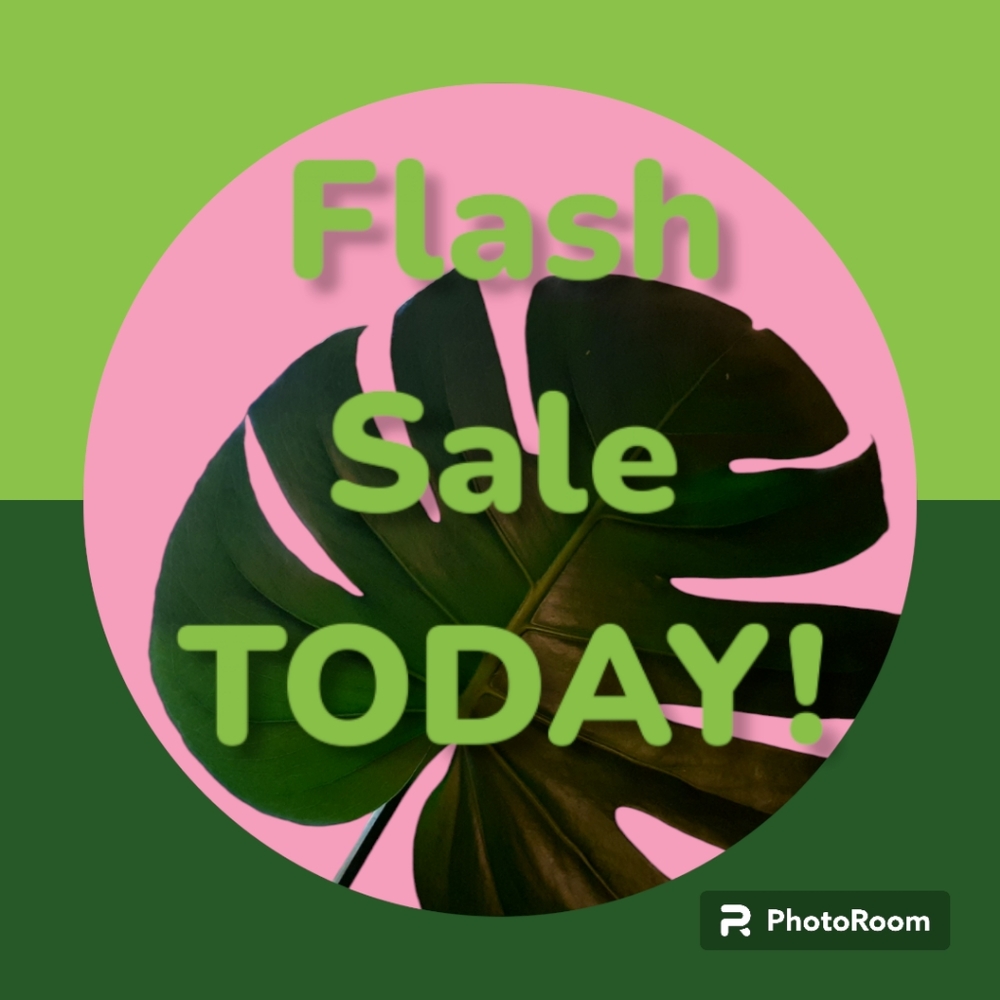 FLASH SALE!
